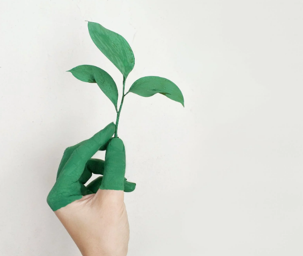 Why Sustainability is important and Making your Small Business Sustainable