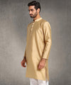 Hangup Men Standard Solid Men's Indian Wear-Khakhi_8_W39_Lkurta