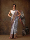 Embellished Elegance Wonder Saree-SZ-DGSTRIP-GY-2166