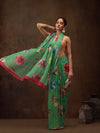 Elegant Beauty Wonder Saree-SZ-DGCHIF-GN-2237