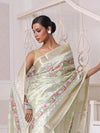 All Over Thread Embroidery Pistachio Green Tissue Saree With Zari Borders-MA64TIS461600009