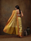 Embellished Opulence Wonder Saree-SZ-DGSTRIP-YL-2170