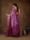 Regal Embellished Aura Saree-SZ-DGSTRIP-LV-2168