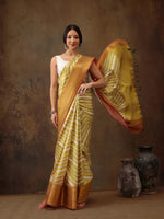 Embellished Opulence Wonder Saree-SZ-DGSTRIP-YL-2170