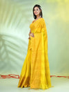 Yellow Cotton Saree With Zari Borders-MA66BCT43620001