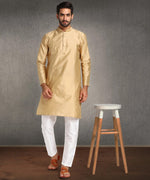 Hangup Men Standard Solid Men's Indian Wear-Khakhi_8_W39_Lkurta