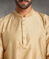 Hangup Men Standard Solid Men's Indian Wear-Khakhi_8_W39_Lkurta