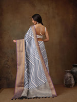 Embellished Elegance Wonder Saree-SZ-DGSTRIP-GY-2166