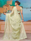 Saree Mall Women's Chiffon Light Green Embellished Designer Saree With Blouse Piece-DHNIYA681C