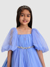 Jelly Jones Torso Pleated Flaired Gown Emblished With Flower & Diamond-Ice Blue