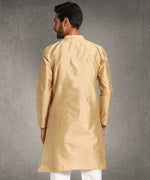 Hangup Men Standard Solid Men's Indian Wear-Khakhi_8_W39_Lkurta