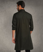 Hangup Men Standard Solid Men's Indian Wear-Olive_6_118_Kurta