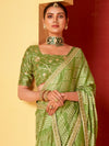 Saree Mall Women's Chiffon Light Green Embellished Designer Saree With Blouse Piece-SANVI2007