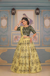 Assorted Premium Quality Peanut Black Lehenga