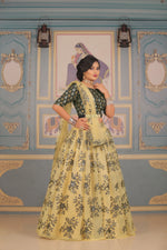 Assorted Premium Quality Peanut Black Lehenga