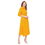 Adults-Women Mustard A-Line Dress