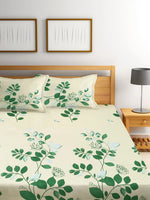 Home Sizzler 144TC Nature Embrace Lush Green Double Bedsheet with 2 King Size Pillow Covers