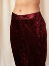 Women Maroon Velvet Pencil Pants