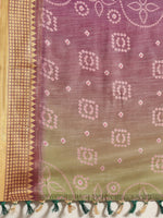 Sareemall Purple Zari Women Saree