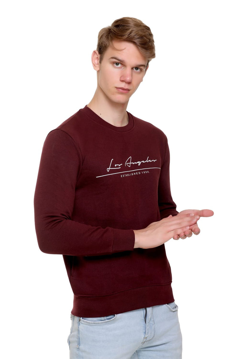 Sweatshirts For Men Sparkler Wears Pack Of - 3