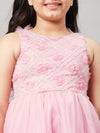 Girl's Raiment Embroidery Dress Pink