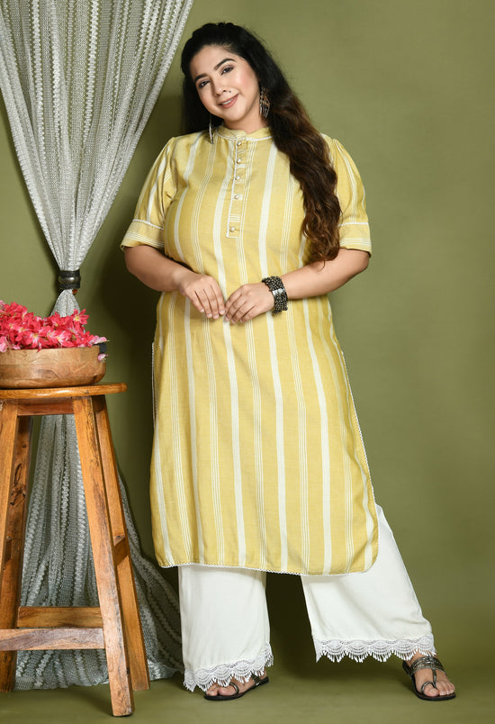 Plus Size Striped Kurta