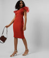 Women's Solid Red Regular Fit Dress