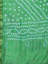 Juniper Green Shantoon Bandhani Dupatta