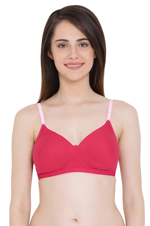 Wholesale Clothing  Shop Wholesale Womens Innerwear – Page 21 – Tradyl