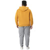 Instafab Gold Star Plus Men Solid Stylish Hooded Tracksuits
